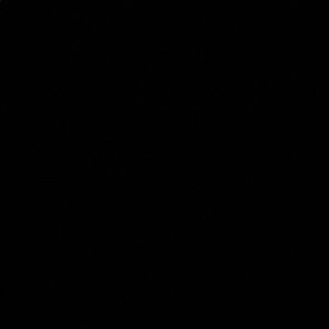 Meet your Posher, Whitney